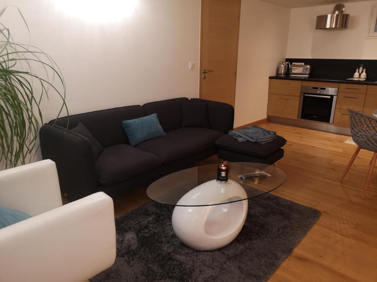 Tres Bel Appartement Avec Vue Sur Les Montagnes Saint Ismier Buitenkant foto